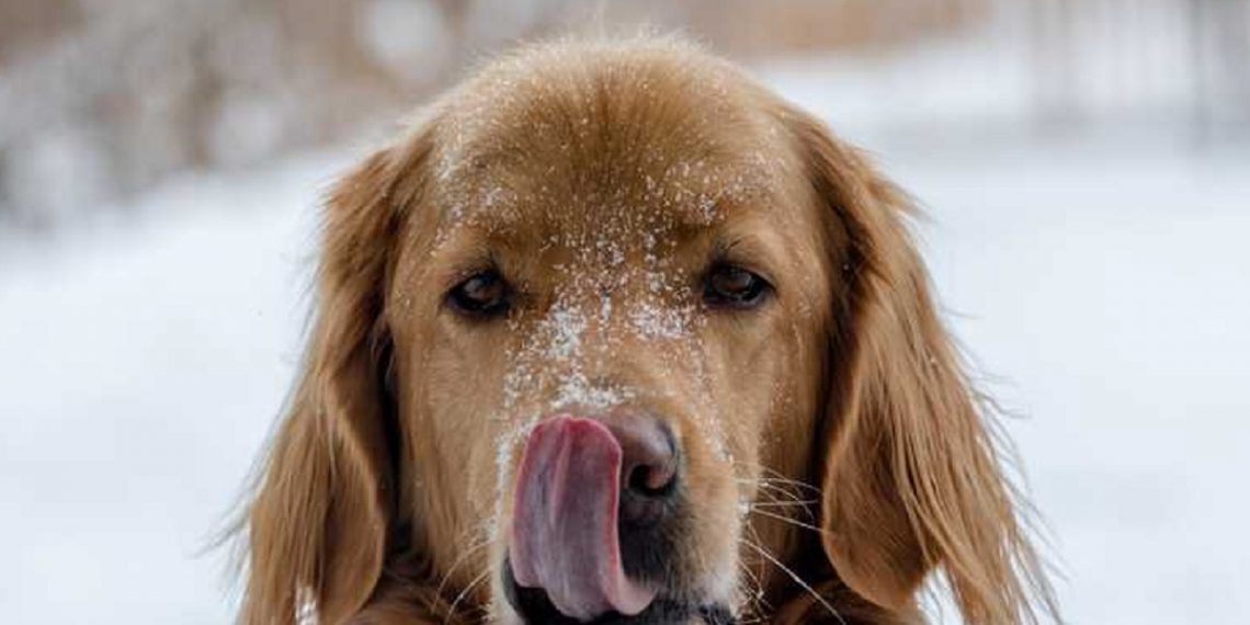 Погода в Украине 13 декабря.