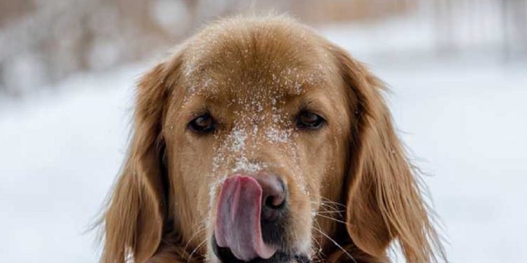 Погода в Украине 13 декабря.