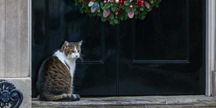 Погода в Украине 17 декабря.