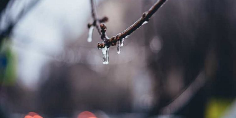 Погода в Украине 18 декабря.