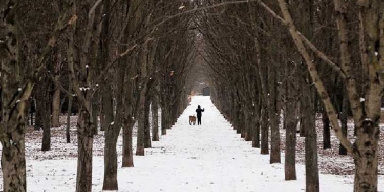 Погода в Украине 20 декабря.