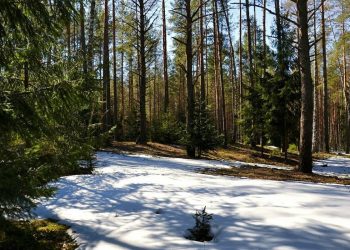Прогноз погоды на ближайшие дни.