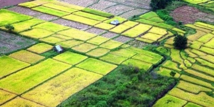 Налог на землю – льготы.