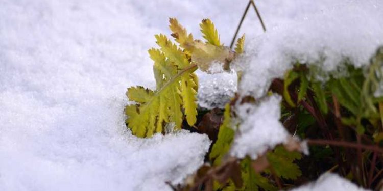 Погода в Украине 4 декабря.