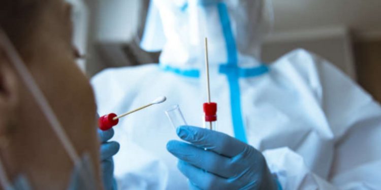 Тест на коронавирус