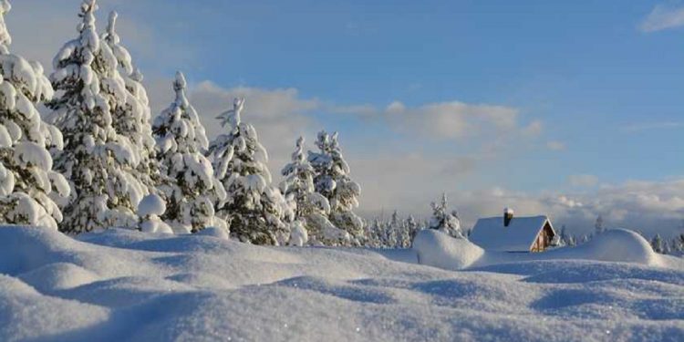 Погода в Украине 22 декабря.