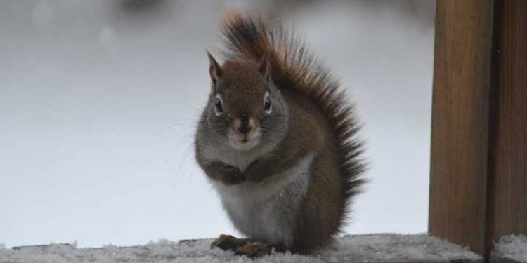 Погода в Украине 30 декабря.