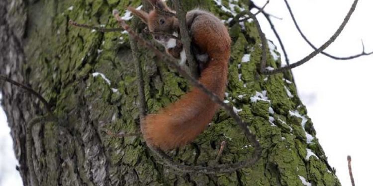 Погода в Украине 8 декабря.