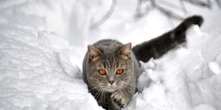 Погода в Украине 5 декабря.