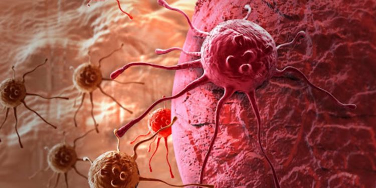 Раковые клетки