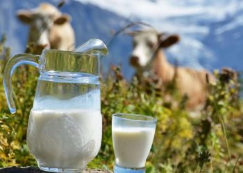 молочные продукты