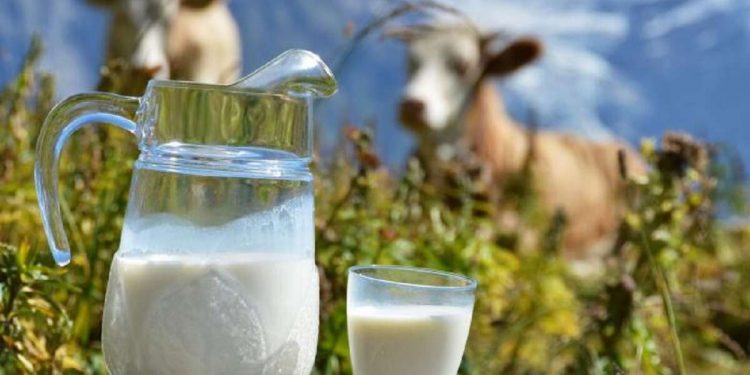 молочные продукты