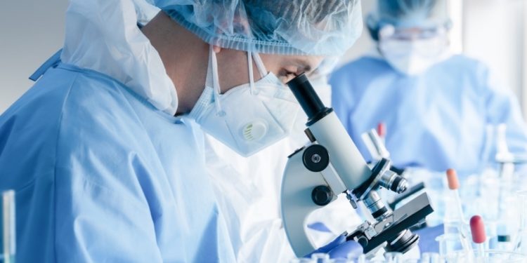 Эксперимент ученых