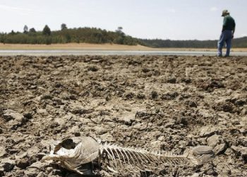 Человечество ждет незавидное будущее.