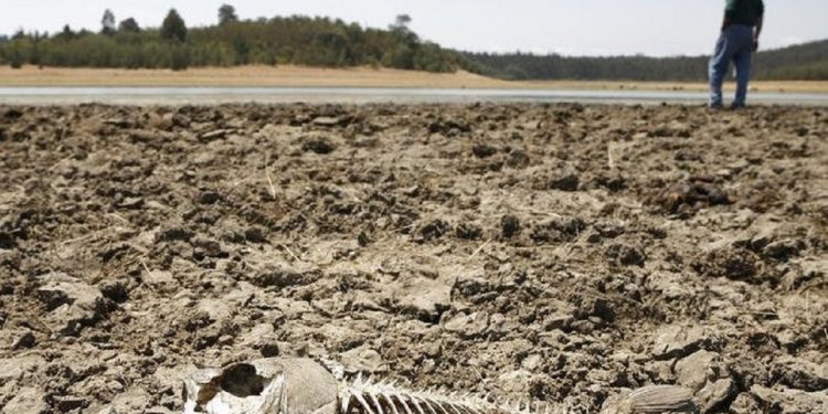 Человечество ждет незавидное будущее.