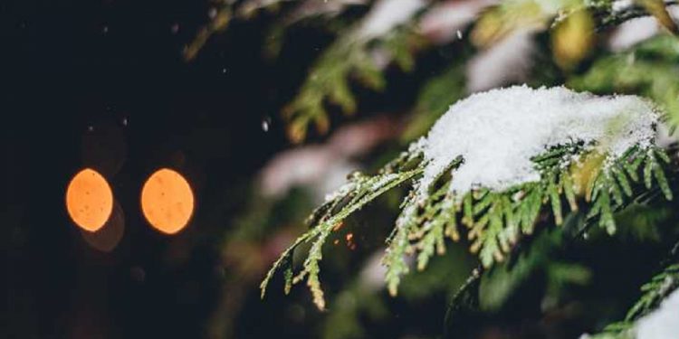 Погода в Украине 2 января.