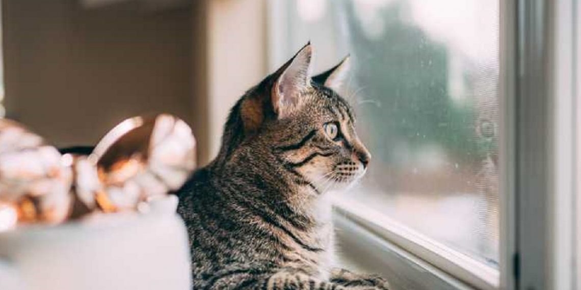 Погода в Украине 16 января.