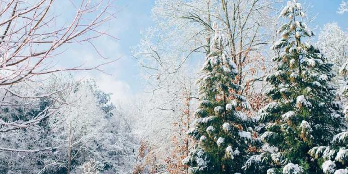Погода в Украине 17 января.