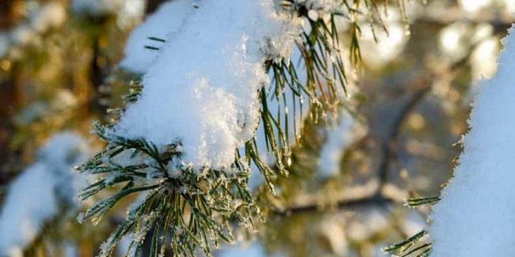 Погода в Украине 22 января.