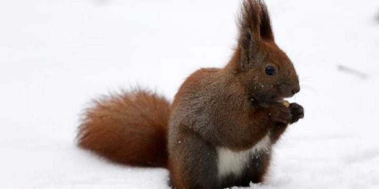 Погода в Украине 24 января.