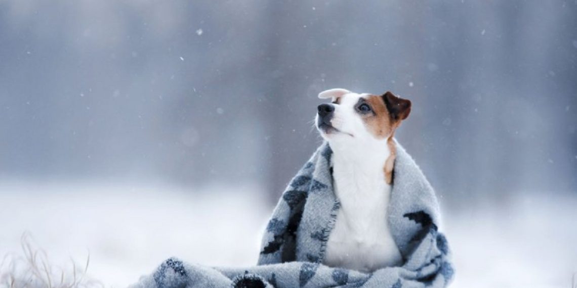 Погода в Украине 25-30 января.