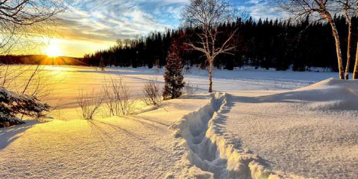 Погода в Украине 27 января.