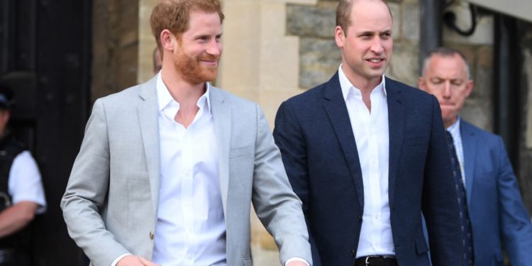 Принц Гарри и принц Уильям