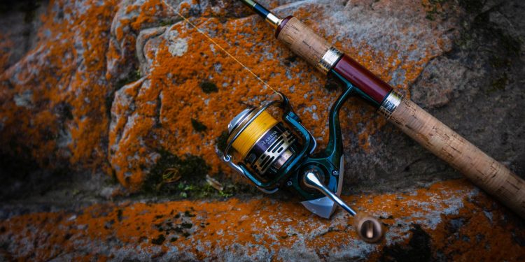 Какие есть виды рыболовных катушек? Как выбрать подходящую