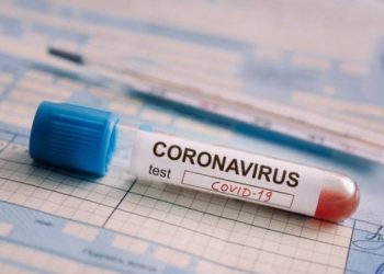 Тест на коронавирус