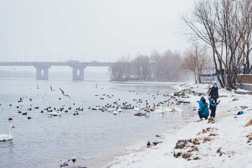 Погода в Украине 23 января.