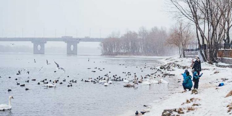 Погода в Украине 23 января.