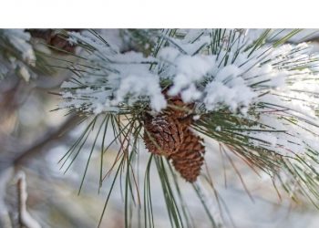 В Украину идет резкое потепление.