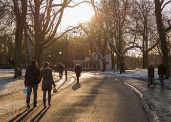 В Киеве побиты сразу два температурных рекорда.