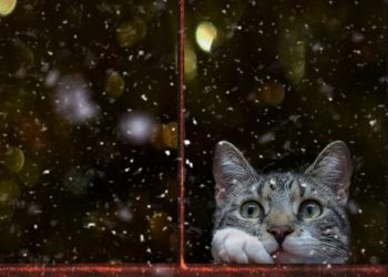 Прогноз погоды на Рождество 7 января.