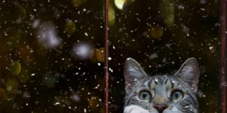 Прогноз погоды на Рождество 7 января.