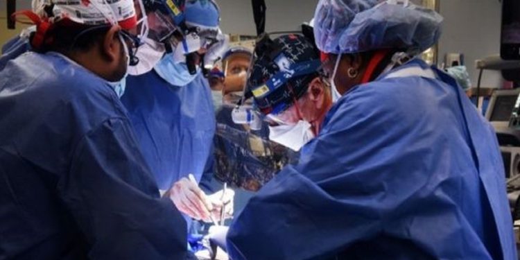 Впервые человеку пересадили сердце свиньи.