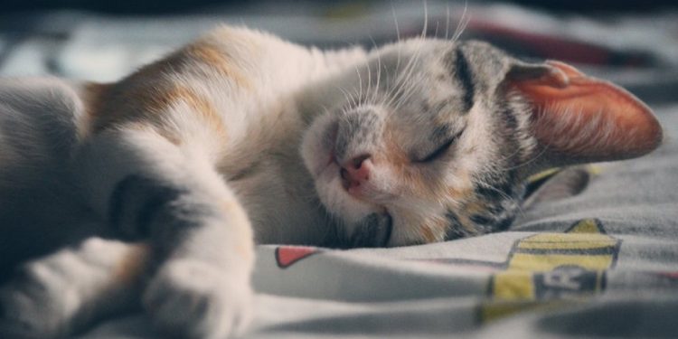 Как избавиться от бессонницы.