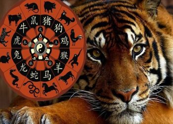 Год Тигра принесет им счастье.