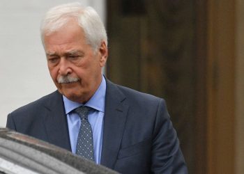 глава делегации РФ в ТКГ