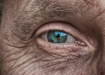 Глаз человека