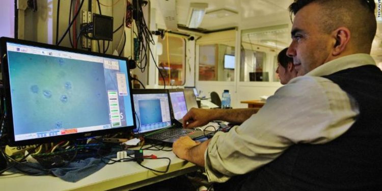 Океанологи