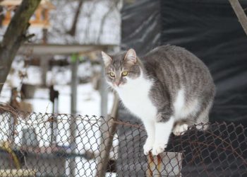 Погода в Украине 4 февраля.