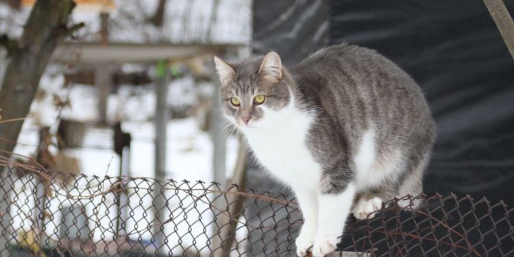 Погода в Украине 4 февраля.