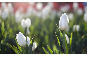 Погода в Украине 10 февраля.