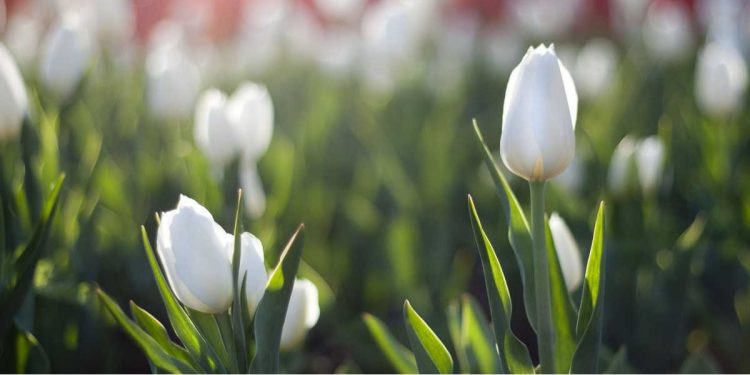 Погода в Украине 10 февраля.