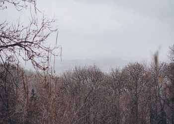 Погода в Украине 12 февраля.