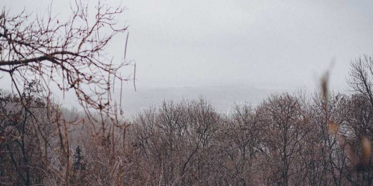 Погода в Украине 12 февраля.