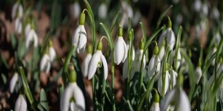 Погода в Украине 15 февраля.