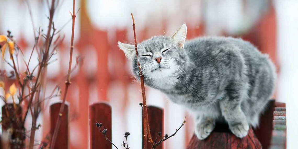 Погода в Украине 16 февраля.