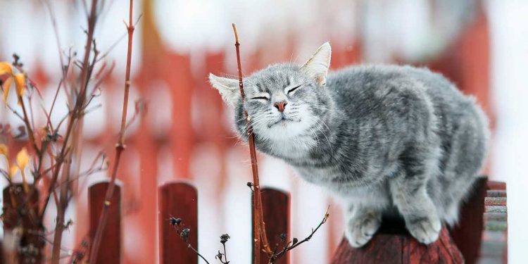 Погода в Украине 16 февраля.